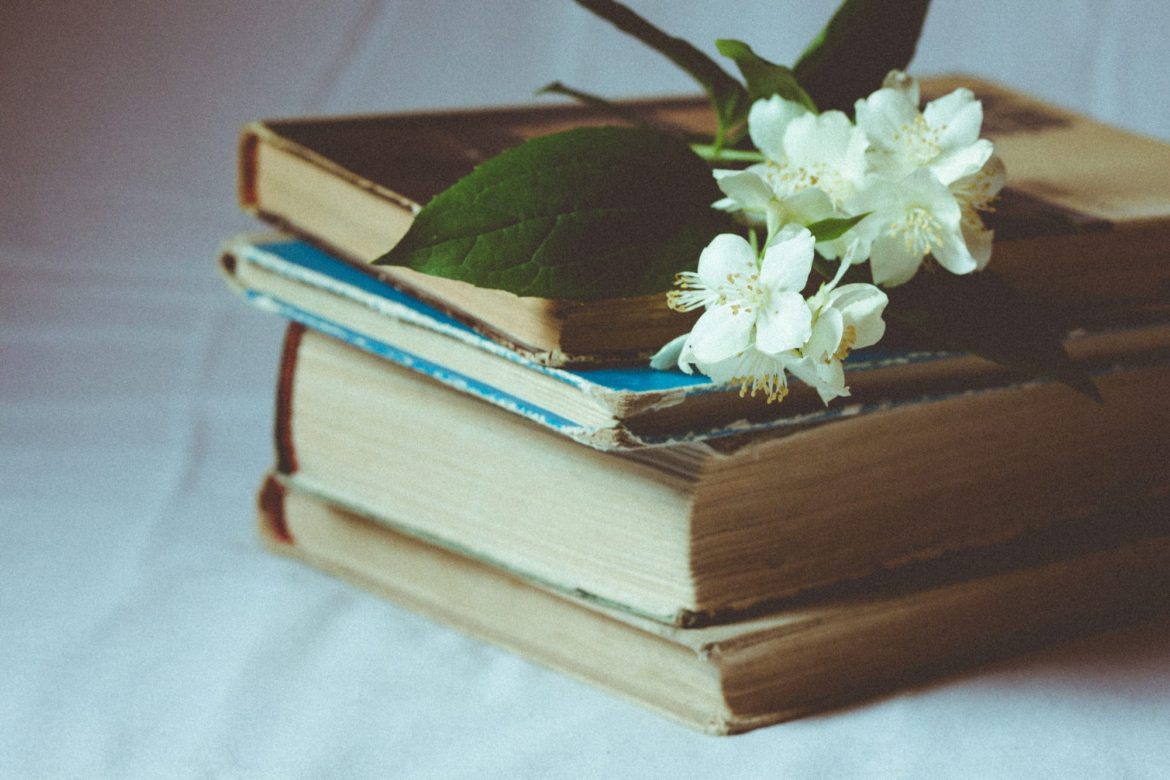aliis-sinisalu-299299-unsplash The Lost Memoirs of Jane Austen by Syrie James