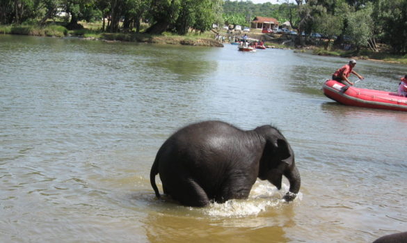 IMG_2041 7 things to do in Coorg