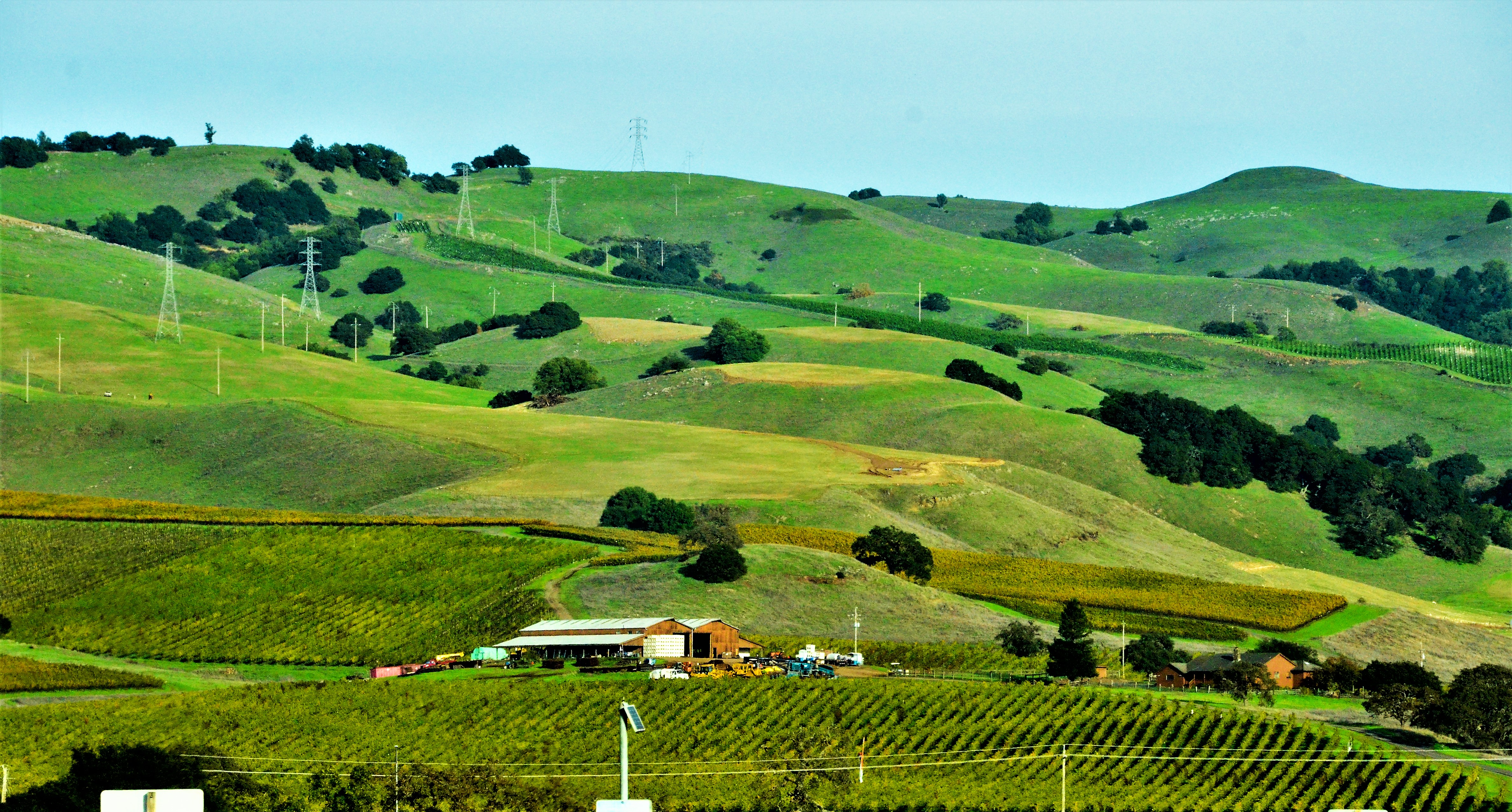 Things To Do In Napa Valley With Kids